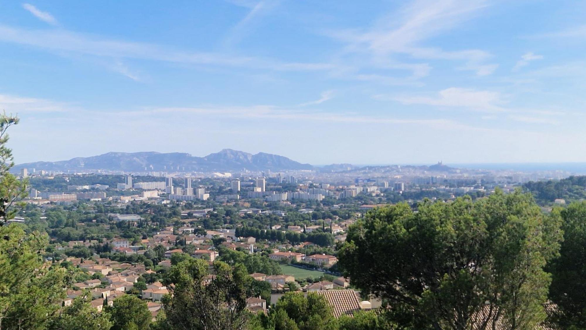 Les Pins De Palama *